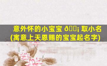 意外怀的小宝宝 🐡 取小名(寓意上天恩赐的宝宝起名字)